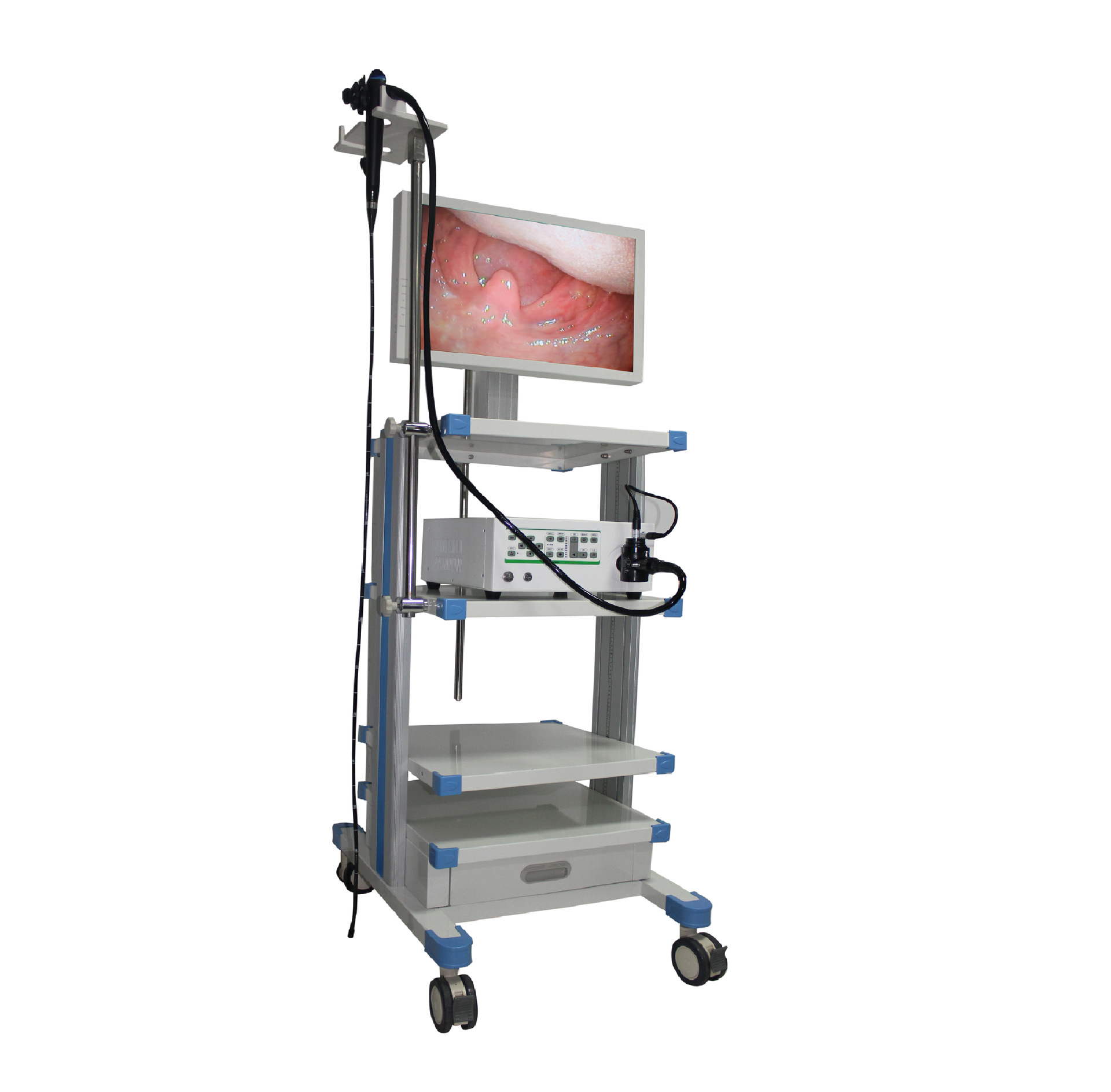 欧加华内窥镜动物医疗设备支持硬镜连接超高性价比