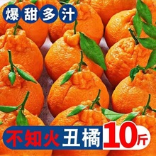 丑橘不知火新鲜现摘四川应季水果桔子薄皮批发工厂代发工厂批发