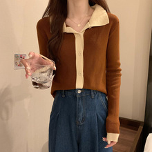 200斤大码女装秋季长袖翻领开衫胖mm显瘦上衣女外穿