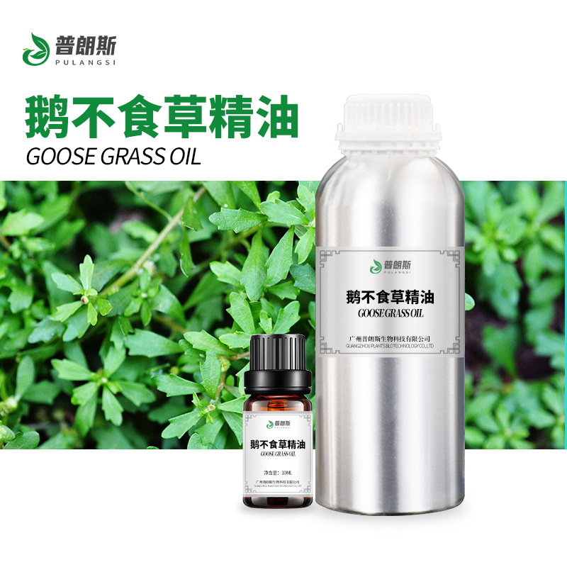 厂家直供鹅不食草精油现货 鹅不食油植物单方精油日化原料供应