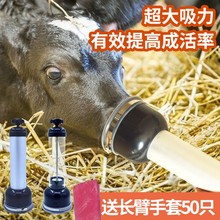 牛犊呼吸器犊牛呼吸器小牛牛犊抽吸羊水牛犊子设备机工具