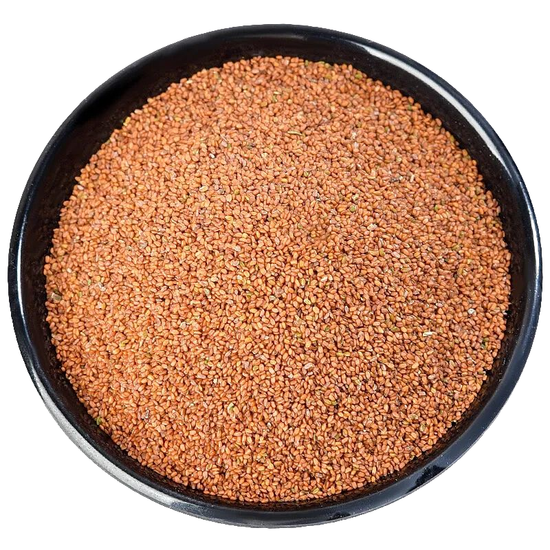 葶苈子中药材500克南葶苈甜葶苈停力子葶苈籽