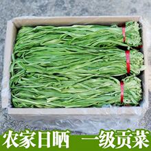 精品干贡菜批发干货脱蔬菜火锅串串凉拌烫唰苔菜干响菜餐饮生鲜用