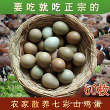 七彩山鸡蛋60枚新鲜 宝宝辅食 农家杂粮天然散养土鸡蛋野鸡蛋
