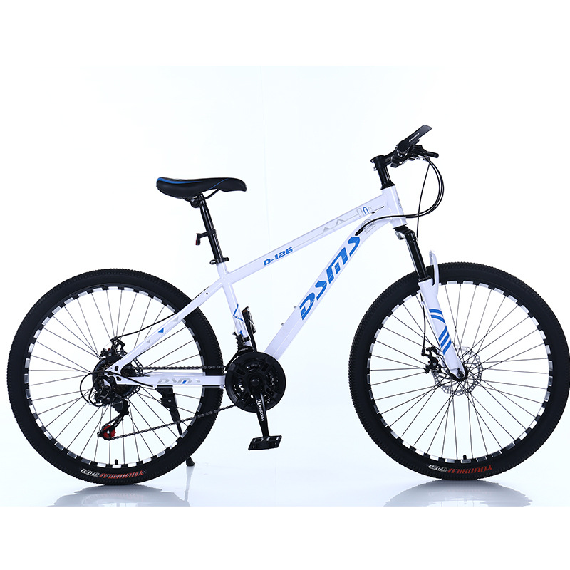 Mountain Bike Spoke Wheel Adult Male and Female Racing Aluminum Alloy off-Road Variable Speed Outdoor Bicycle Teenagers Students