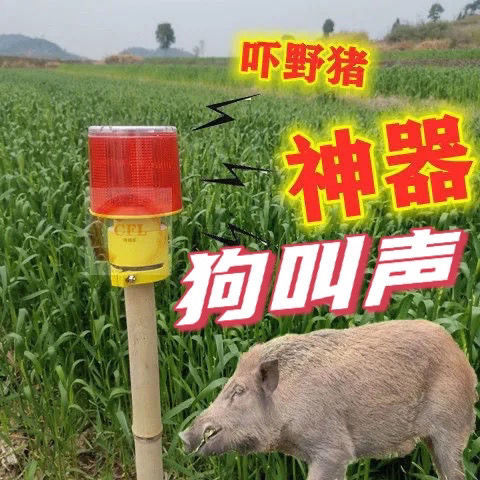 驱赶猪野机太阳能驱兽神器狗叫动物驱赶器户外报警驱兽灯吓猪神器