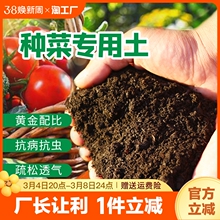 种菜土壤营养土通用型种植土花土泥土黑土有机肥料蔬菜土发酵