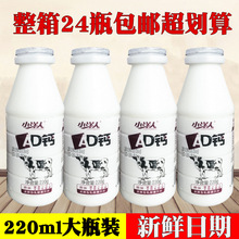 小洋人经典款妙恋乳酸菌饮品345ml*15瓶原味草莓味儿童早餐饮料