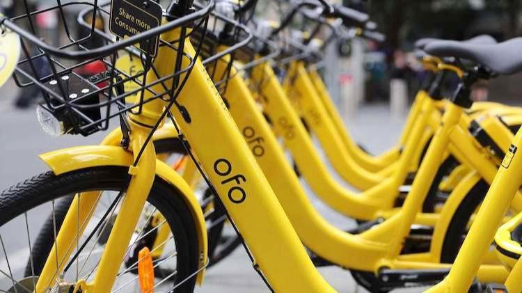 1600万【退款人】忘不了ofo小黄车