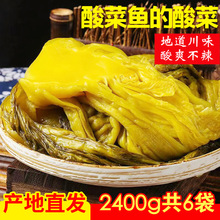 四川特色泡酸菜2400g共6袋鱼酸菜老坛腌酸菜酸菜鱼泡菜泡青菜泡椒