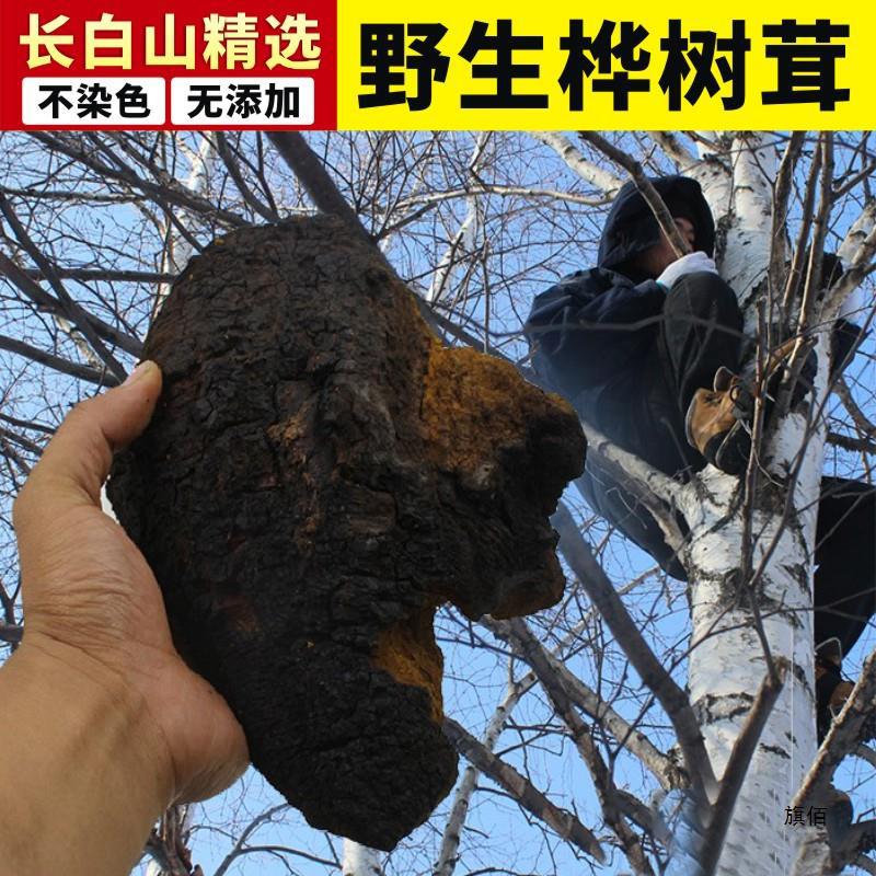 长白山桦树茸非俄罗斯进口白桦茸500g野生桦褐孔天然桦树泪-阿里巴巴