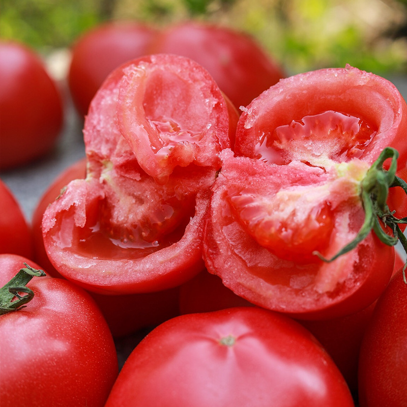 山东普罗旺斯水果西红柿 代发5斤新鲜生吃沙瓤洋柿子番茄非圣女果