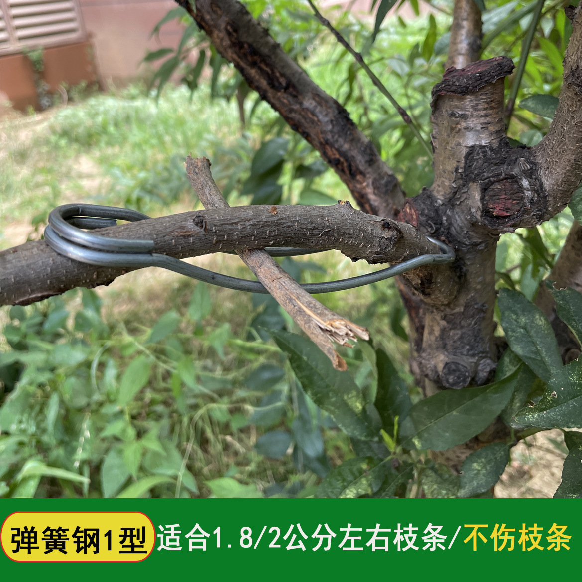 果树拉枝器压枝器果树拉枝神器定型器樱桃树梨树拉枝李子树拉枝