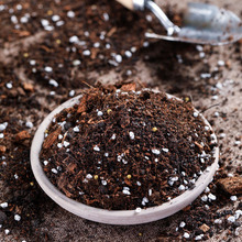营养土颗粒土多肉植物花卉室内绿植鹿沼赤玉陶粒泥炭土养殖种植土