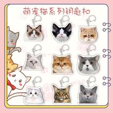 【鸿逸】萌宠猫猫系列钥匙扣 布偶 金吉拉 美短 暹罗猫 可爱挂件