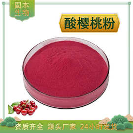 酸樱桃粉 酸樱桃浓缩汁粉 水溶 酸樱桃提取物 樱桃果粉 厂家现货
