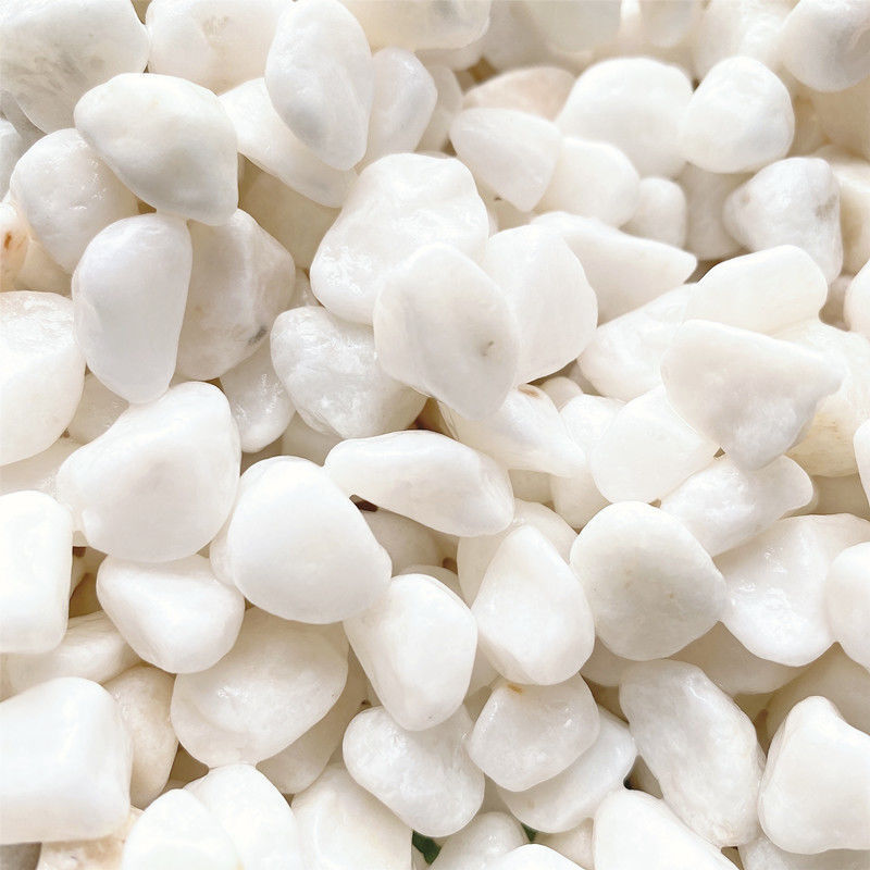 造景石头小白石子鹅卵石石子花盆装饰景观盆景铺面园林创景专用