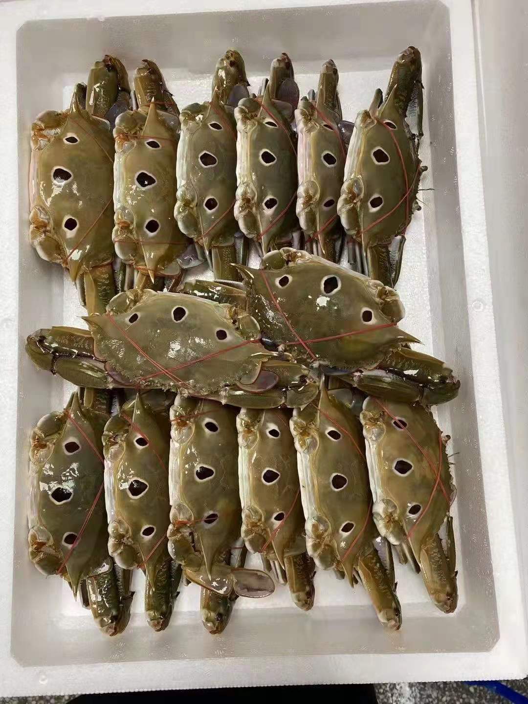 一手批发东山岛三点蟹三目蟹全规格冻螃蟹