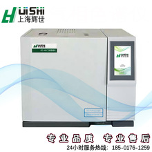 上海辉世GC450空气中非甲烷总烃检测气相色谱分析仪器 自动进样