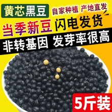 东北黑豆5斤农家自产小黑豆五谷杂粮黑豆豆浆黄心黑豆粗粮