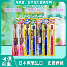 日本进口宽头成人牙刷双重植毛按摩牙龈清洁牙齿1支装 颜色随机