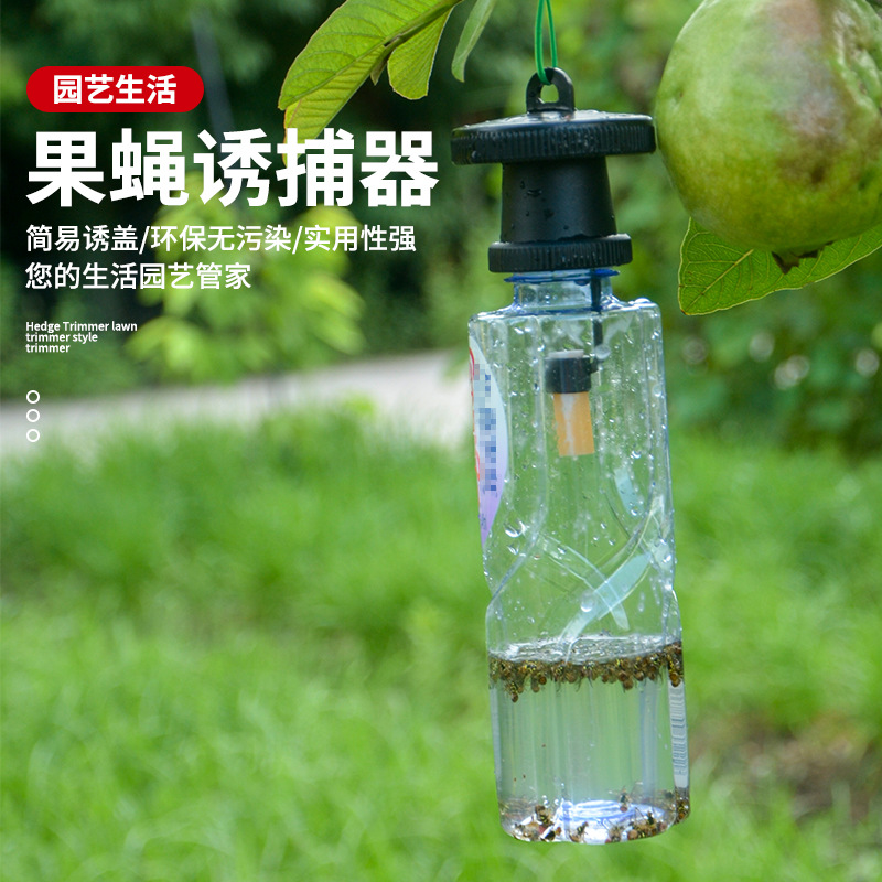 果蝇诱捕器果实蝇捕抓捉容器瓜果蔬菜花卉防虫诱虫性诱剂药水针蜂