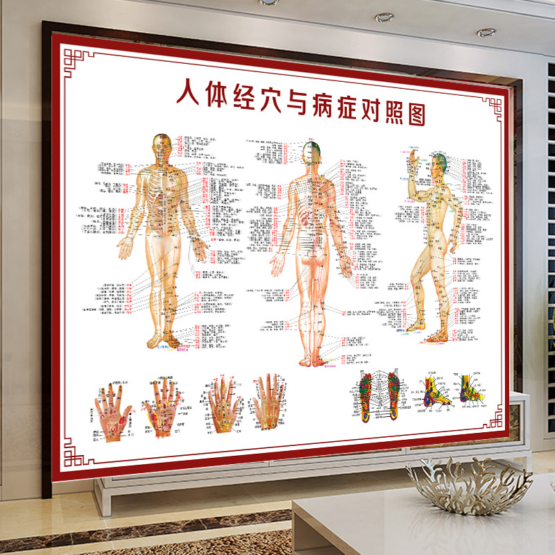 筋络骨骼女性人体经络穴位图按摩大挂图海报宣传针灸图美容院脊椎