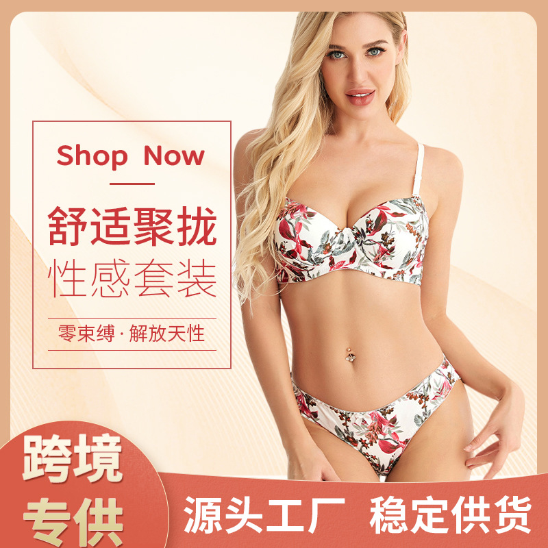 Cross-Border European and American Underwear with Steel Ring Adjustable Push up Bra Set Sexy Luxury Two-Piece Set Comfortable Fashion