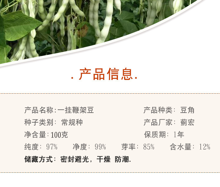 一挂鞭架豆种子 农田菜园早熟肉厚嫰荚白色无筋豆角蔬菜籽