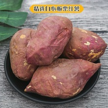 2年新挖红皮白心红薯新鲜地瓜甜面粉番薯山芋干瓤生红苕9斤2斤