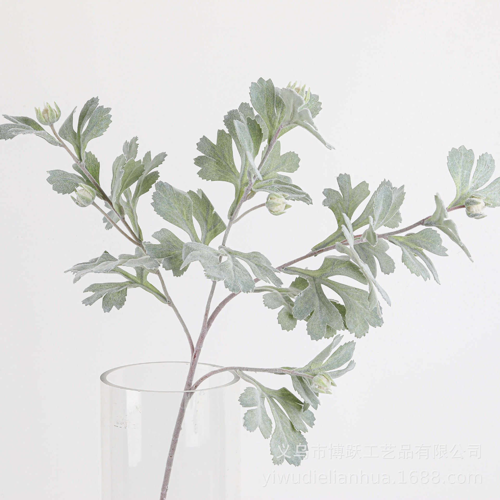 仿真植毛绿植 仿真情人花叶 银叶菊 家居装饰婚庆布置 植物批发