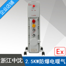 BDR-2.5KW13片电压220V防爆电暖气取暖器电热油汀铝合金ExdIIBT4