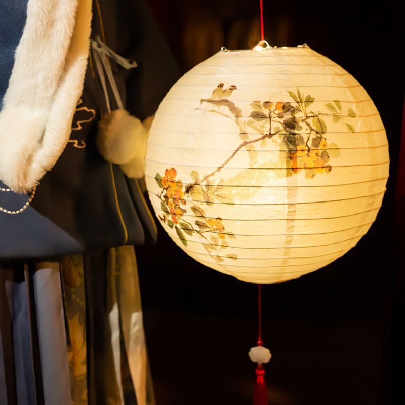 灯笼古风节春节新年带灯手提竿纸灯笼花灯风复古宫灯汉服拍照代销
