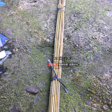 直销园艺竹竿茶杆竹细竹竿厘竹菜架竹支撑杆练手竹爬藤架 低价