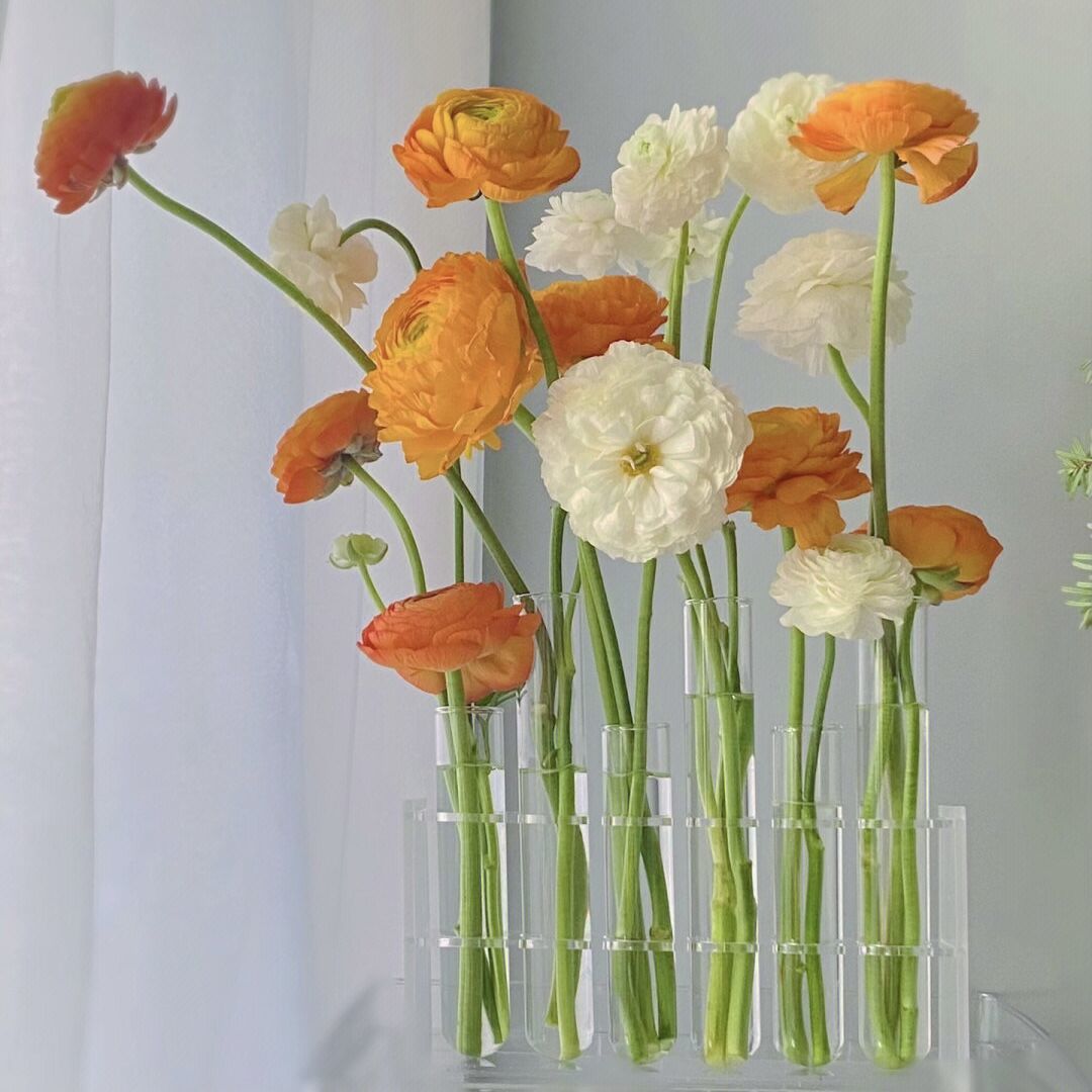 试管花瓶ins风高颜值玻璃网红摆件鲜花水培花器组合插花瓶装饰品
