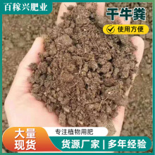 厂家批发牛粪 土壤改良用牛粪 果蔬蓝莓种植有机肥 腐熟发酵牛粪