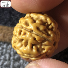 精品大小金刚菩提子佛珠手串梅花双龙爆肉姜黄皮原籽蜂窝蜂王深清