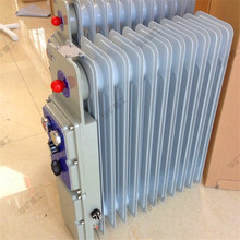 供应防爆取暖器 发货迅速 重量轻 RB-2000/127(A)矿用防爆电暖器