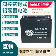 商宇蓄电池GW1233  12V33AH电梯照明 UPS电源配套 EPS直流屏