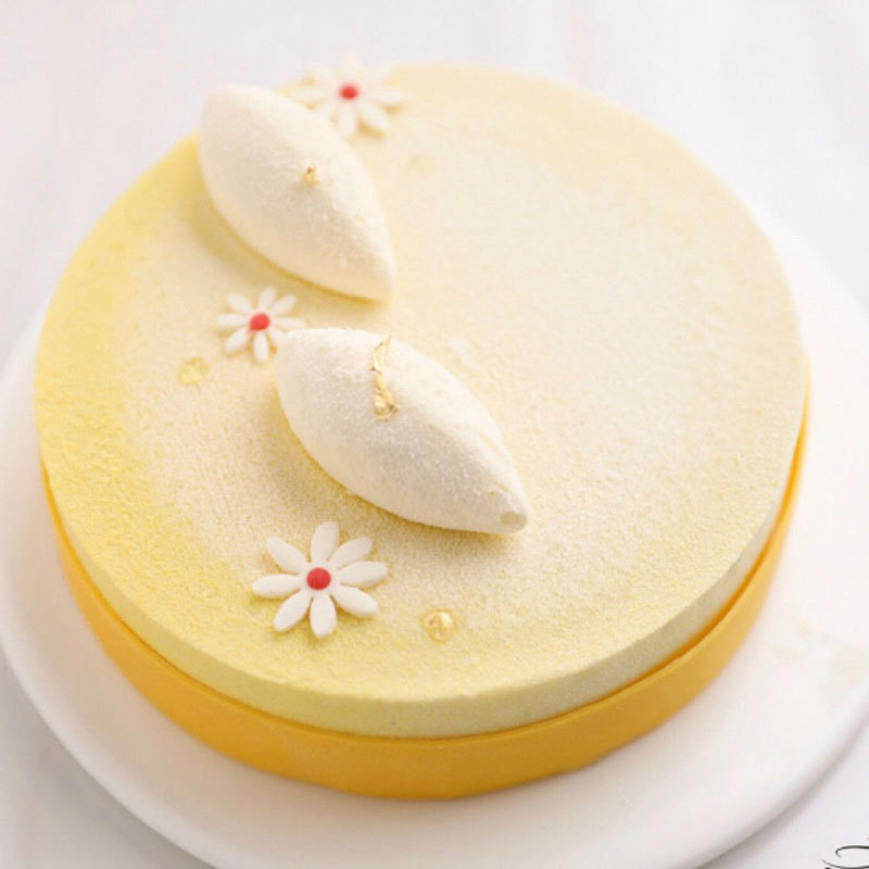 法式甜品 12连贝壳慕斯蛋糕模摆盘装饰巧克力模具果冻布丁硅胶模