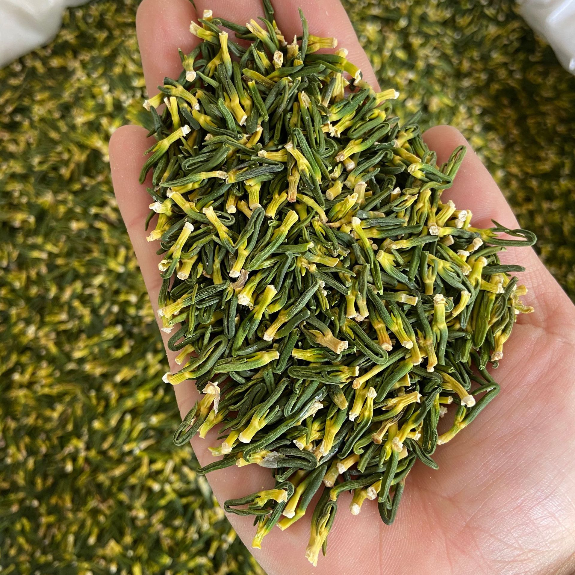 【莲心茶】-莲心茶厂家,品牌,图片,热帖-阿里巴巴