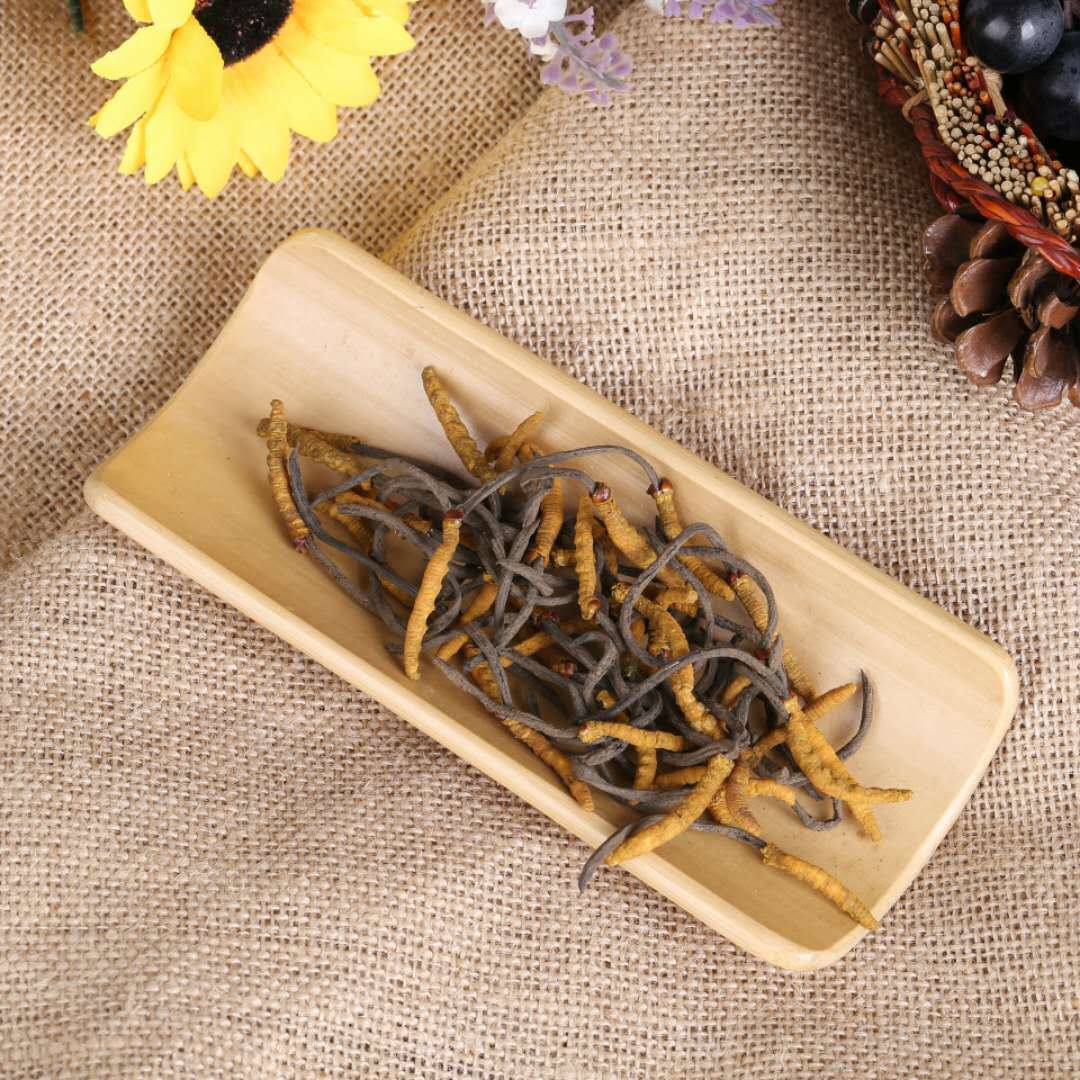 亚香棒虫草2根1克四川虫草现货供应滋补虫草泡酒料