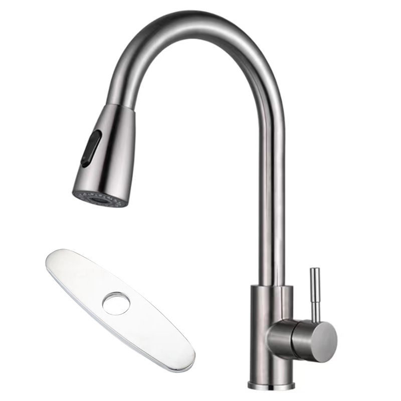 Cross-Border 304 Stainless Steel Pull-out Faucet Vegetable Basin Sink Universal Kitchen Vegetable Basin Hot and Cold Faucet Water Tap