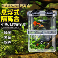 孔雀鱼繁殖盒生小鱼缸内隔离盒幼鱼分离器亚克力漂浮孵化尚尚SSB