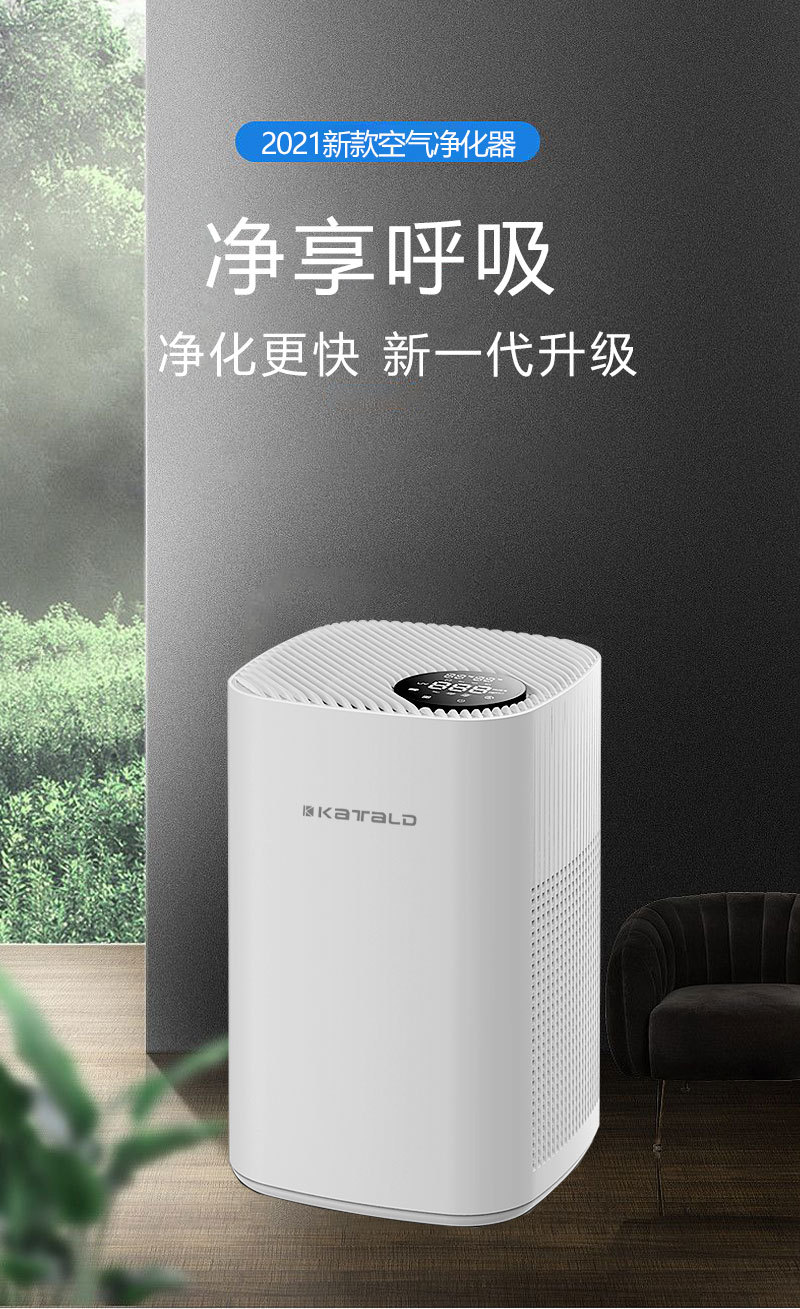 2021年新款智能家用负离子空气净化器祛尘祛异味定制礼品贴牌