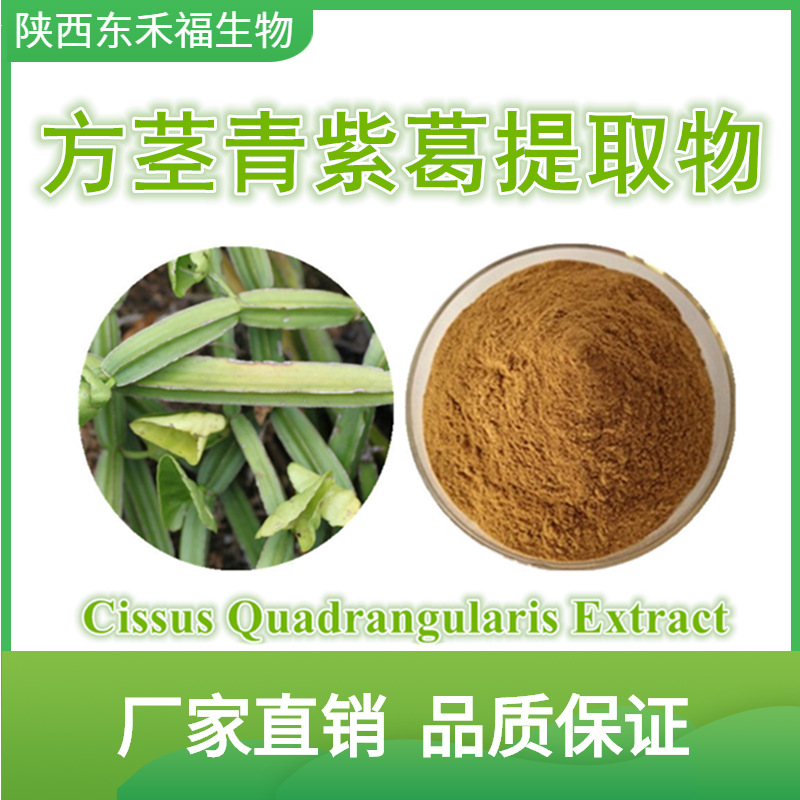 方茎青紫葛提取物50:1 cissus quadrangularis extract 1kg 起售