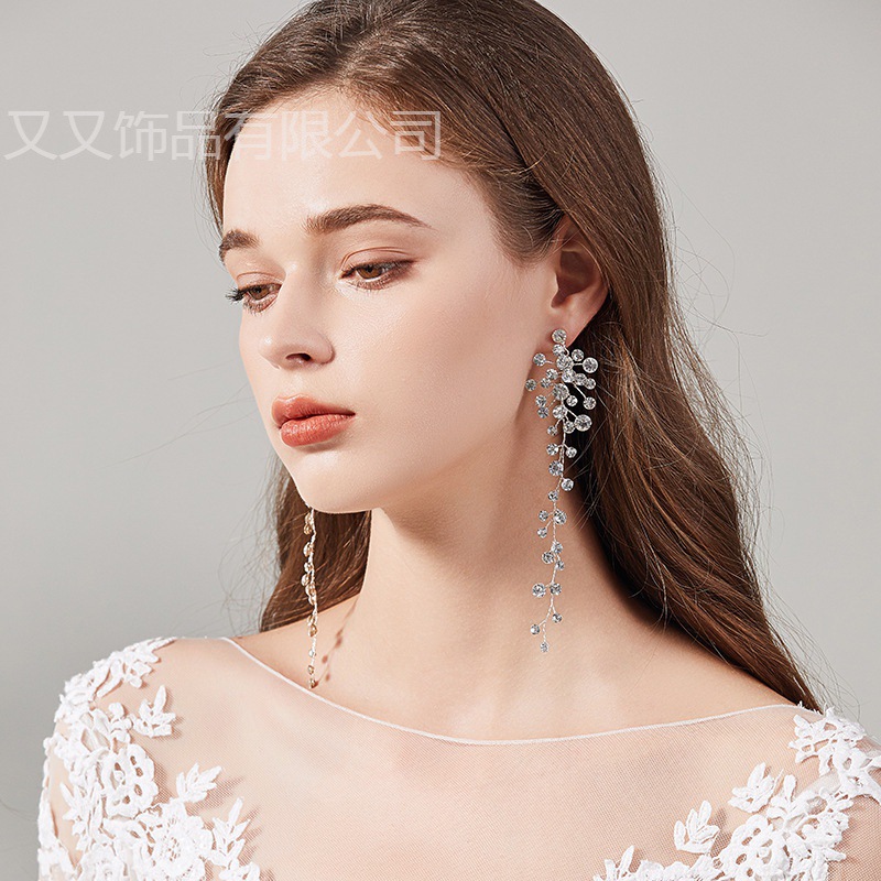 长款小众 水钻流苏耳环 女 精致气质韩版韩式高级感 新娘结婚耳饰