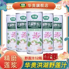 华贵饮品洪湖野莲汁240ml*3/6/12罐礼盒装植物蛋白饮料湖北特产