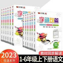 2023秋小学字词句篇一二三四五六年级上下册语文人教同步教材解读