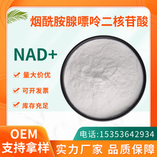 烟酰胺腺嘌呤二核苷酸99% NAD+ 氧化型辅酶Ⅰ 53-84-9 A级50克/袋